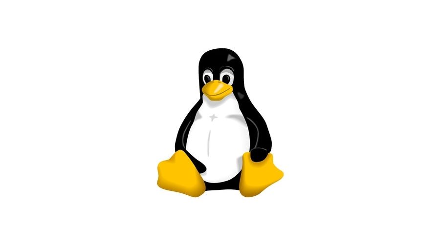 Linus Torvalds wants more help from Linux developers