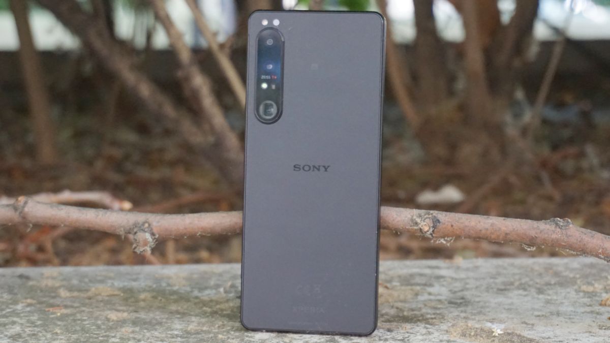 Sony Xperia 1 V: what we want to see