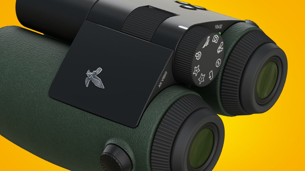 These smart, bird-identifying binoculars could be the ultimate gift for twitchers